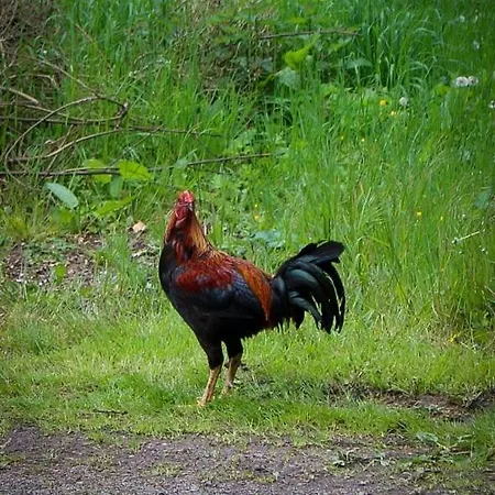 La Sablière Campeggio