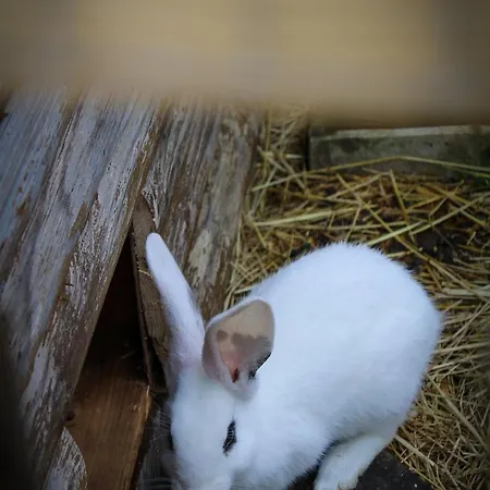 Camping La Sabliere *