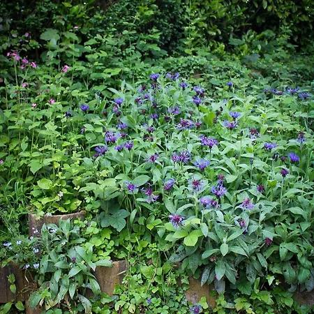 Campeggio La Sablière