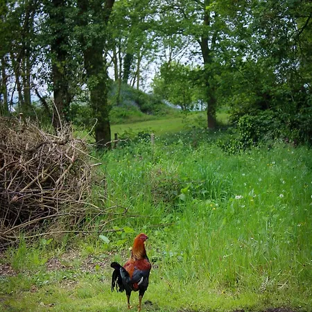 Campeggio La Sablière *