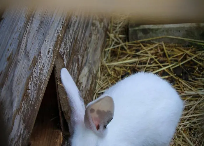 Camping La Sablière *