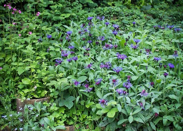 Camping La Sablière