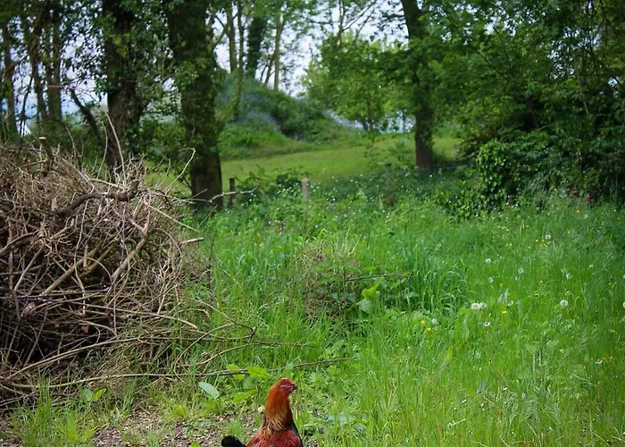 Camping La Sablière *